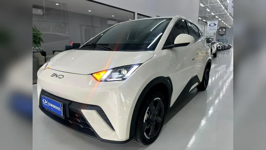 Foto de um byd dolphin mini