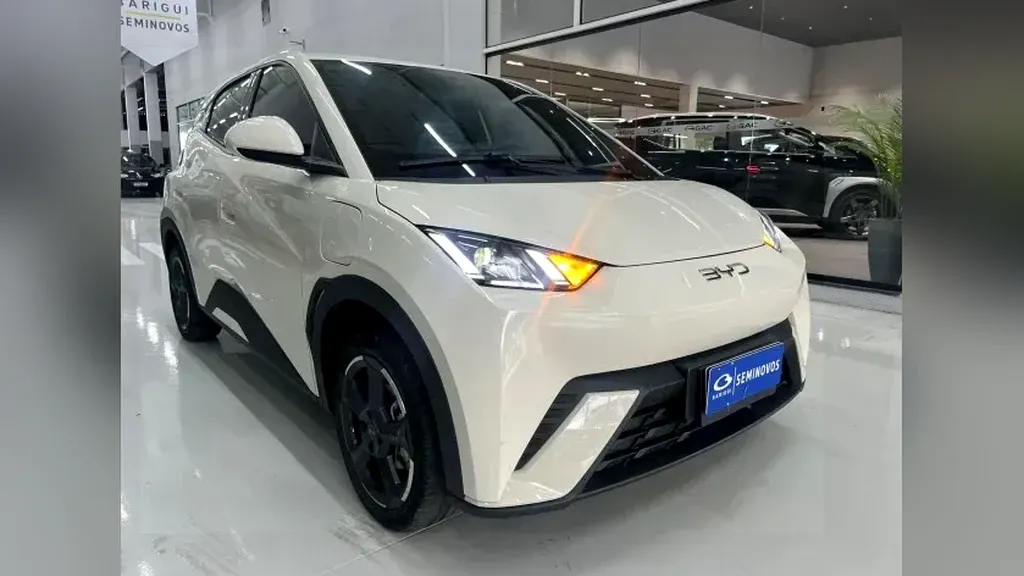 Foto de um byd dolphin mini