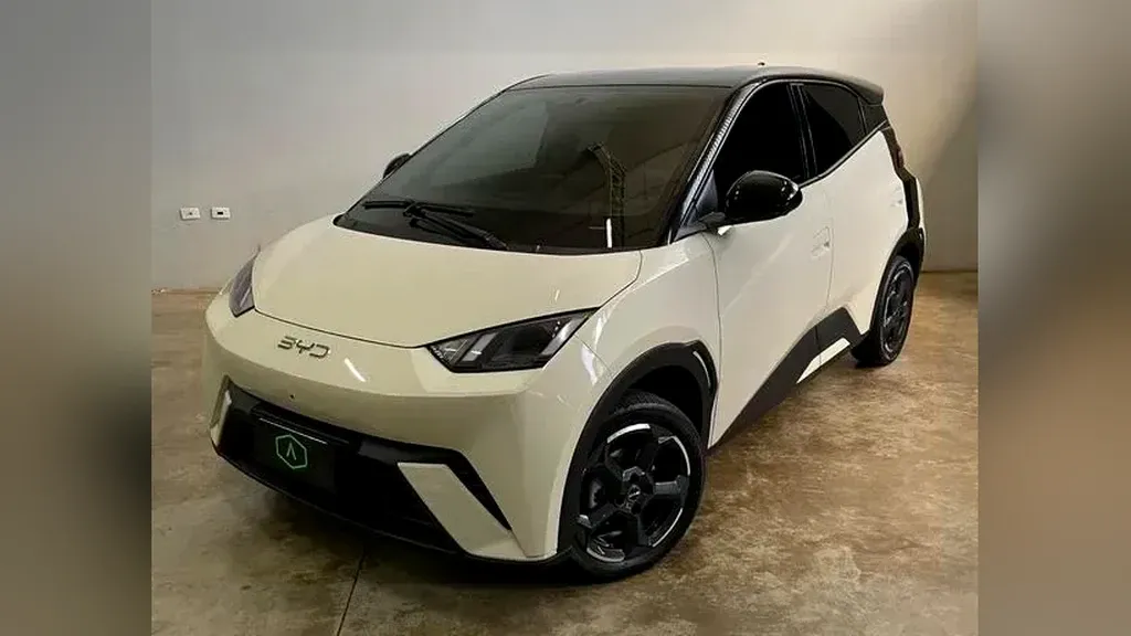 Foto de um byd dolphin mini