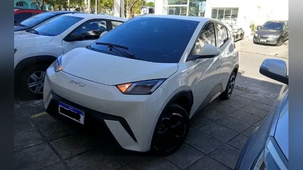 Foto de um byd dolphin mini