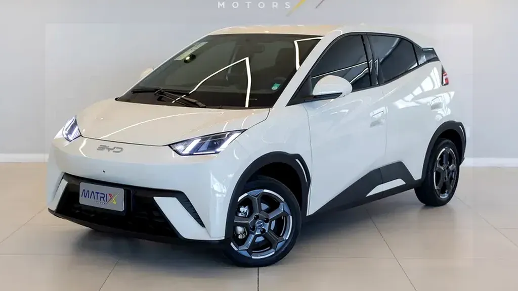 Foto de um byd dolphin mini