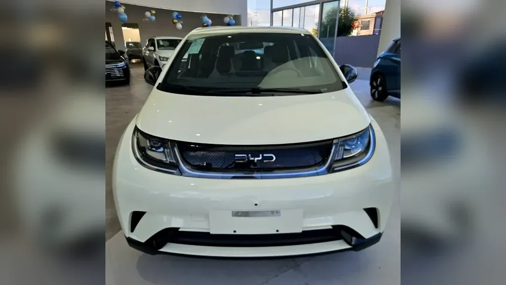 Foto de um byd dolphin