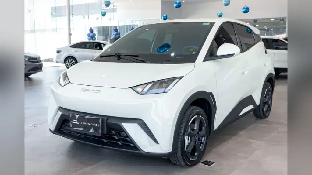 Foto de um byd dolphin mini