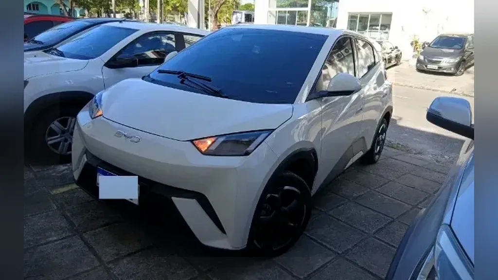 Foto de um byd dolphin mini