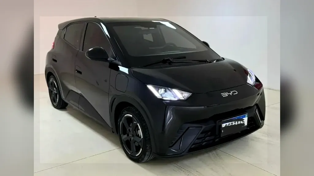 Foto de um byd dolphin