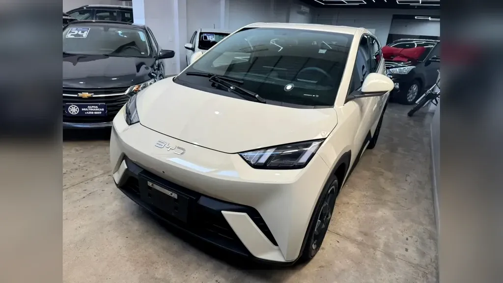 Foto de um byd dolphin mini