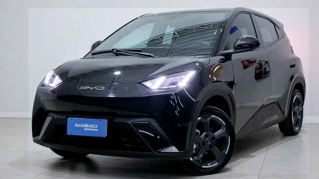 Foto de um byd dolphin mini