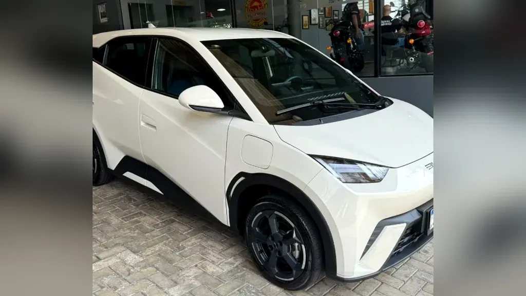 Foto de um byd dolphin mini