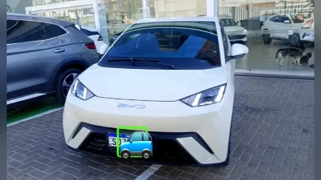 Foto de um byd dolphin mini