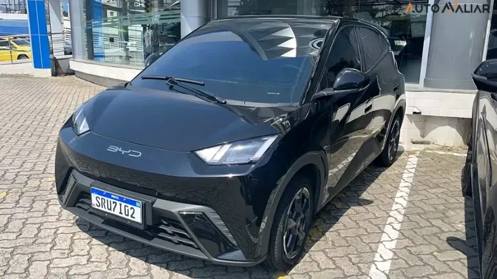 Foto de um byd dolphin