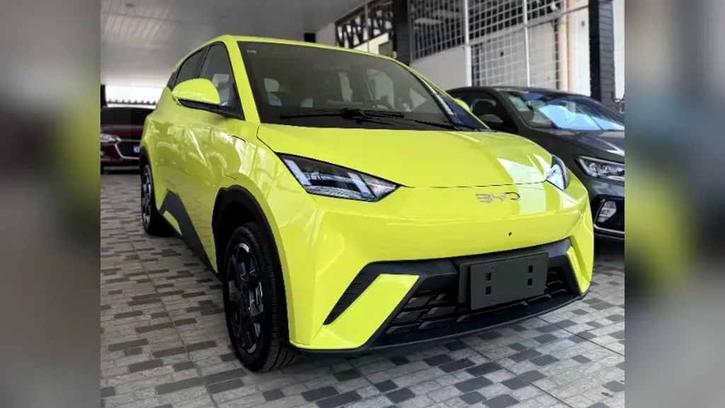 Foto de um byd dolphin mini