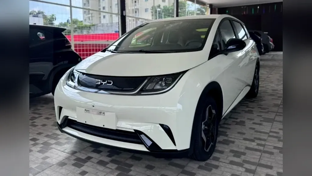 Foto de um byd dolphin