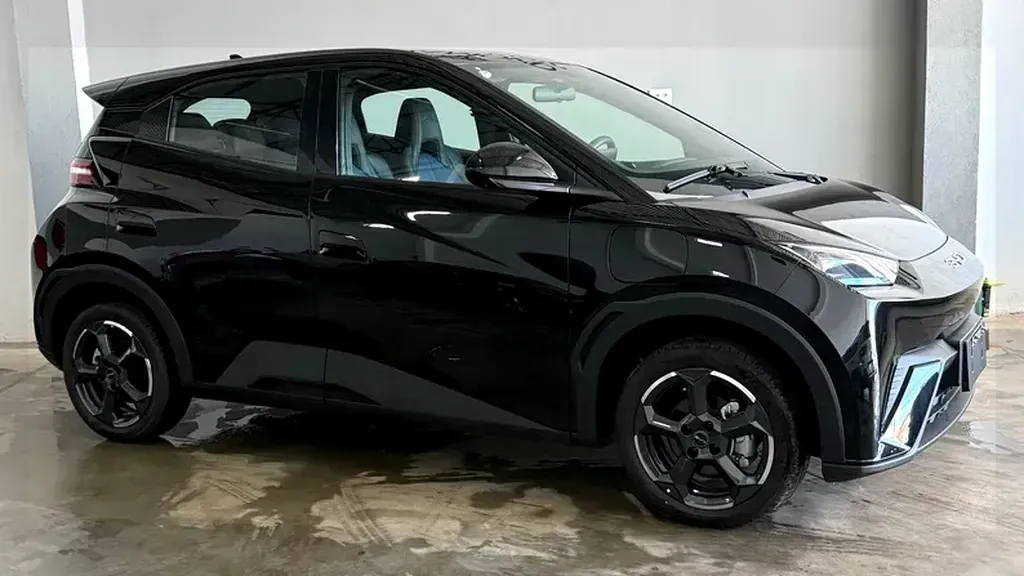 Foto de um byd dolphin mini