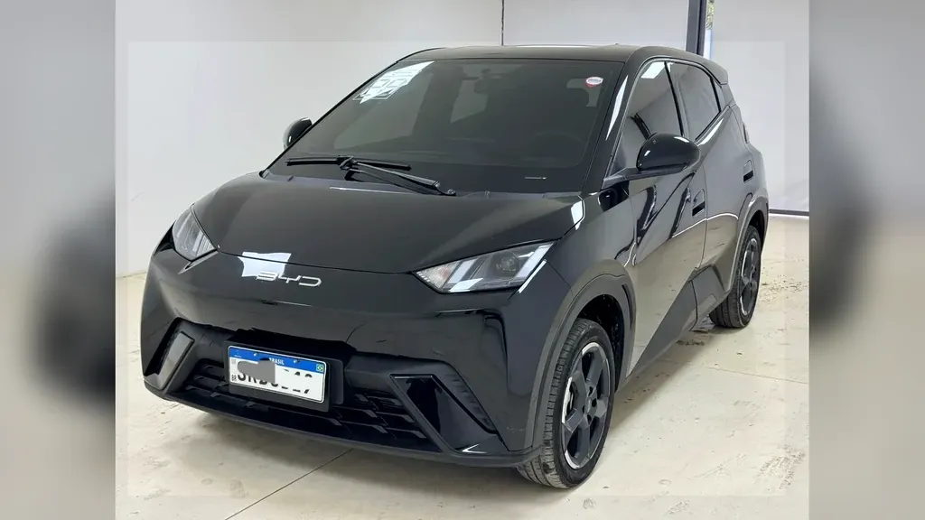 Foto de um byd dolphin