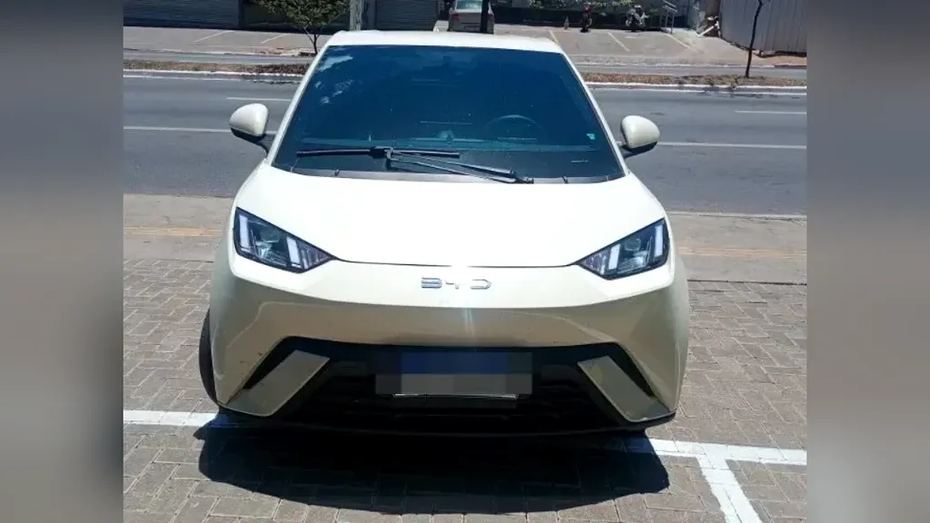 Foto de um byd dolphin mini