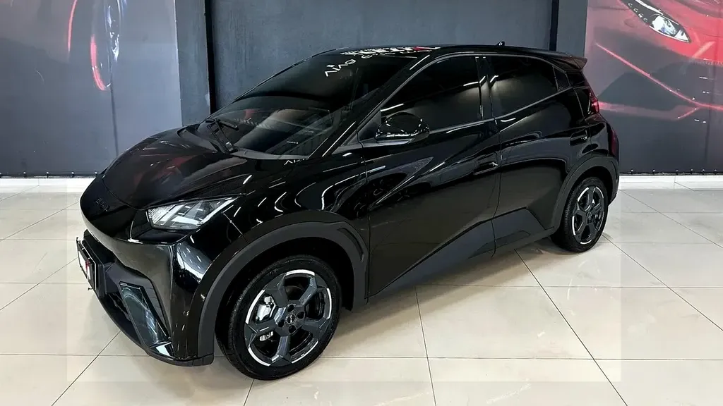 Foto de um byd dolphin mini