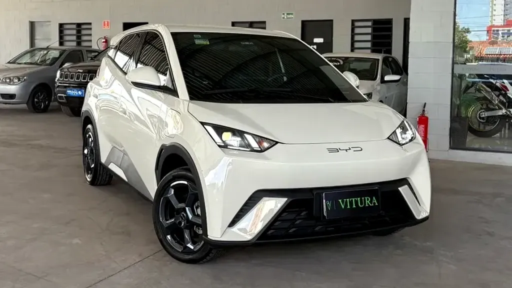 Foto de um byd dolphin mini