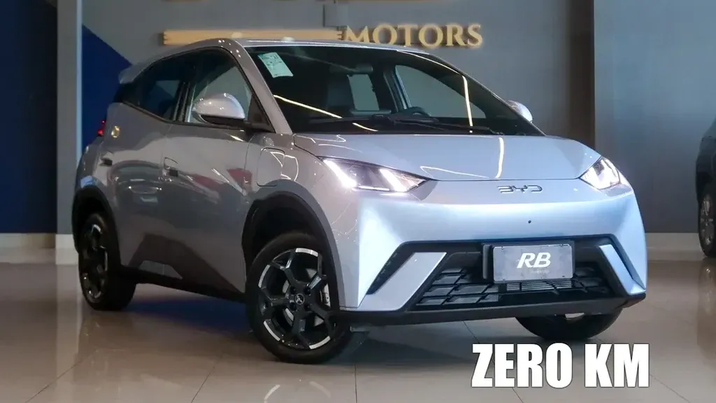 Foto de um byd dolphin mini