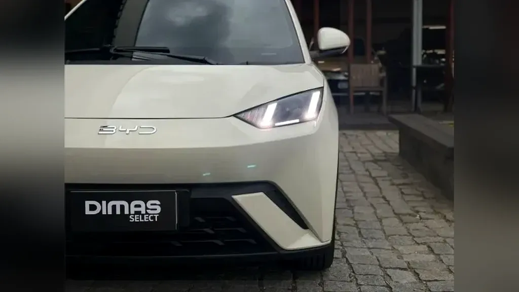 Foto de um byd dolphin mini