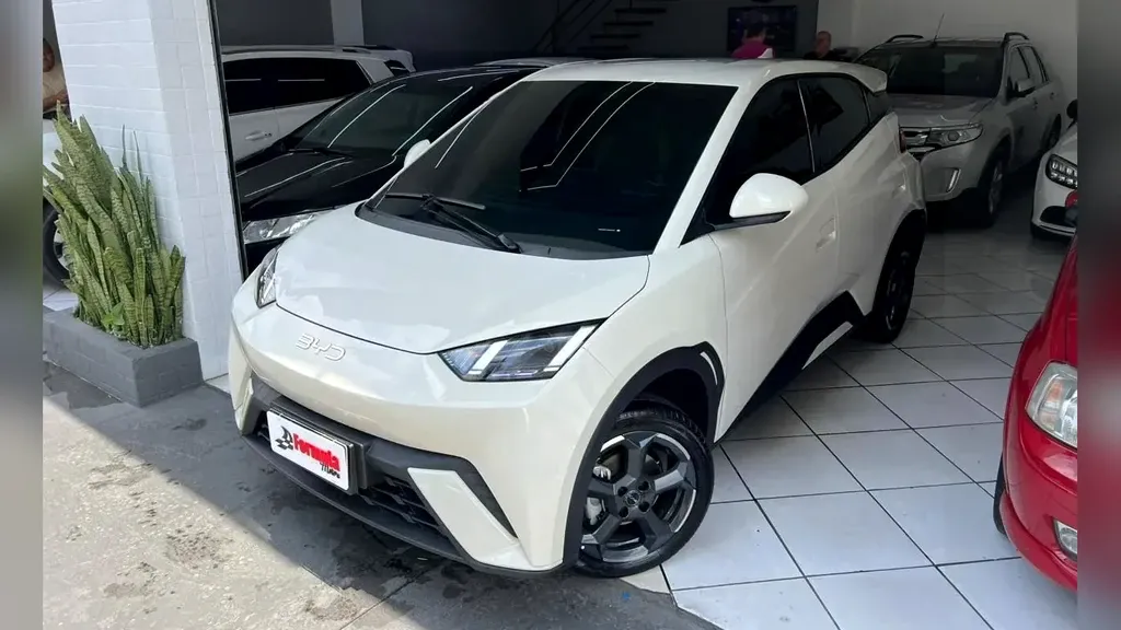 Foto de um byd dolphin