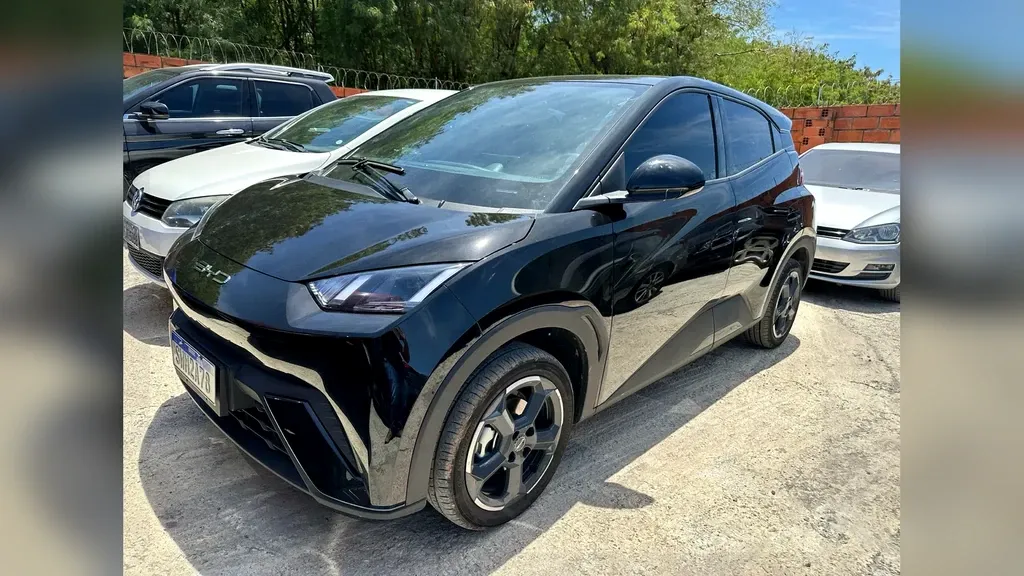 Foto de um byd dolphin mini