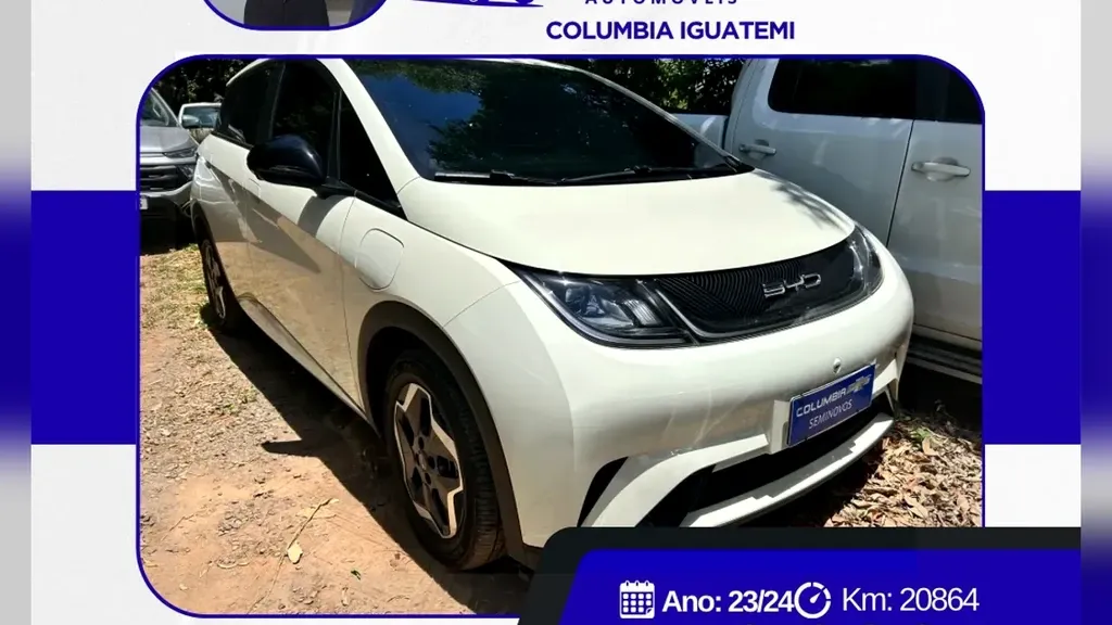 Foto de um byd dolphin