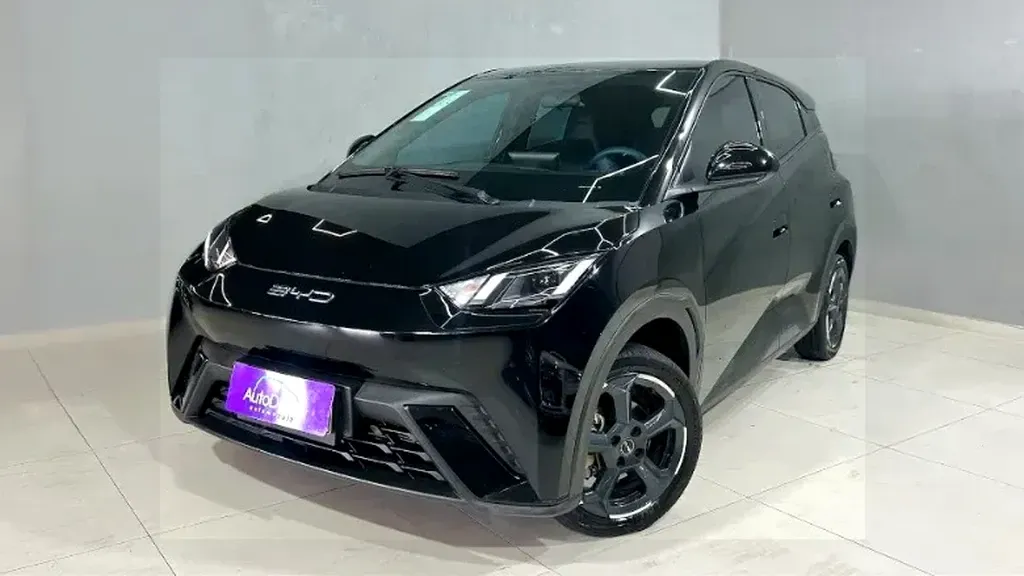 Foto de um byd dolphin mini