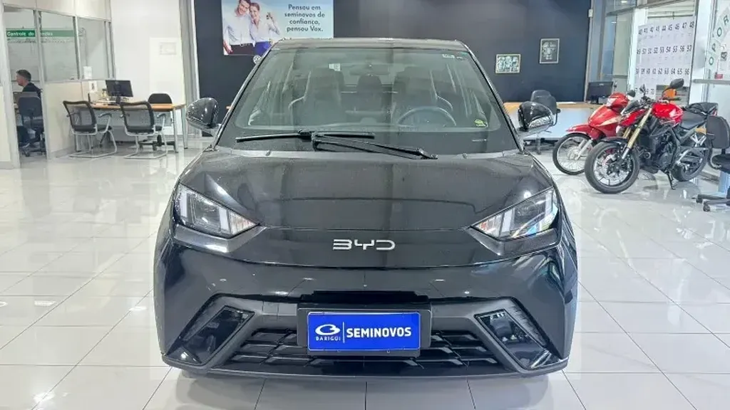 Foto de um byd dolphin mini