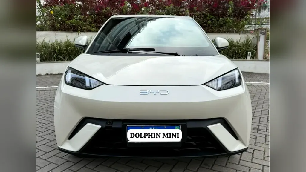 Foto de um byd dolphin mini