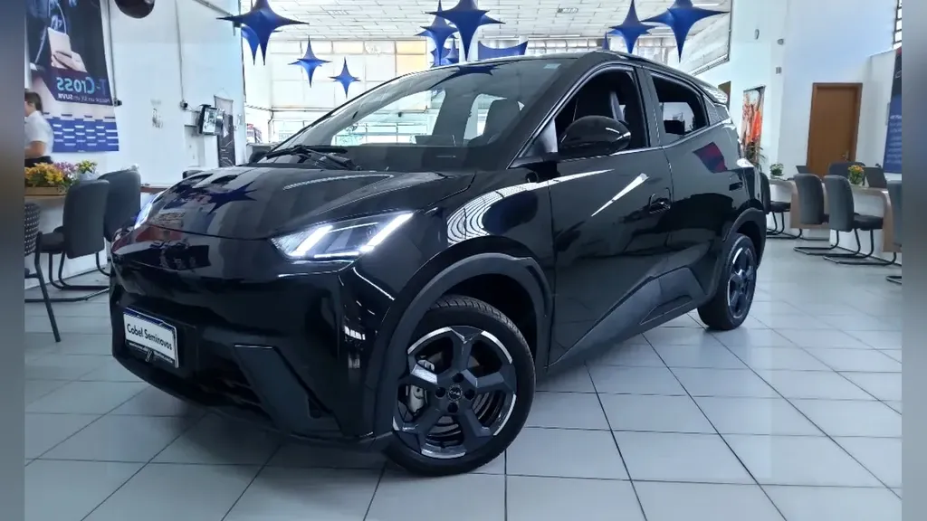 Foto de um byd dolphin