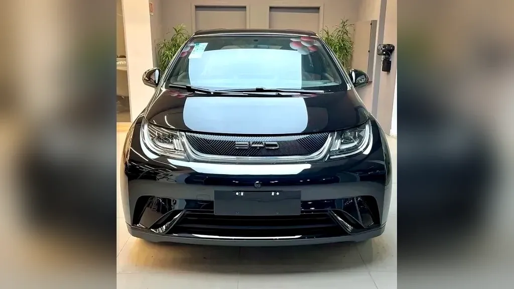 Foto de um byd dolphin