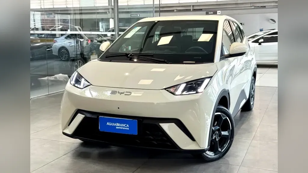 Foto de um byd dolphin mini