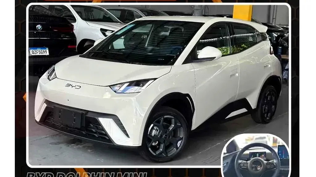 Foto de um byd dolphin mini