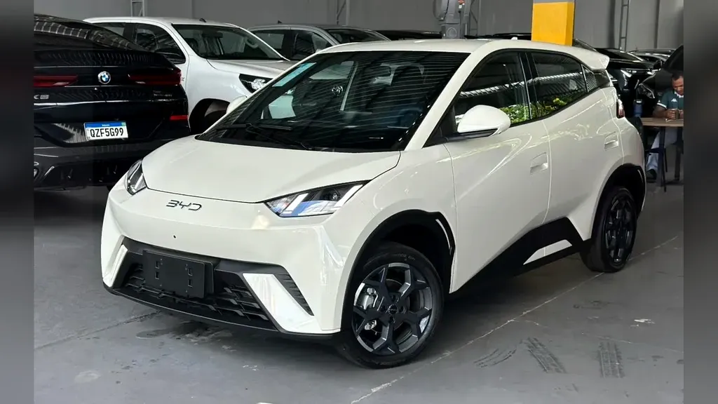 Foto de um byd dolphin mini