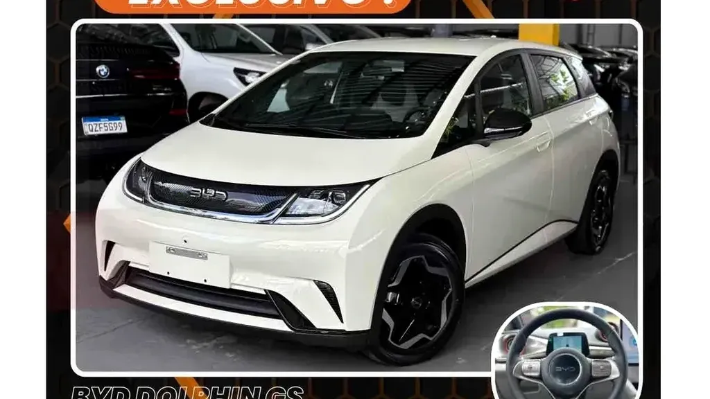 Foto de um byd dolphin