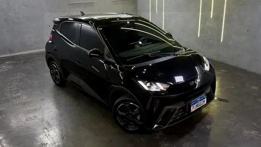 Foto de um byd dolphin