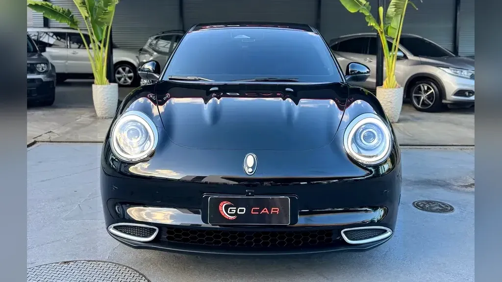 Foto de um gwm ora 03