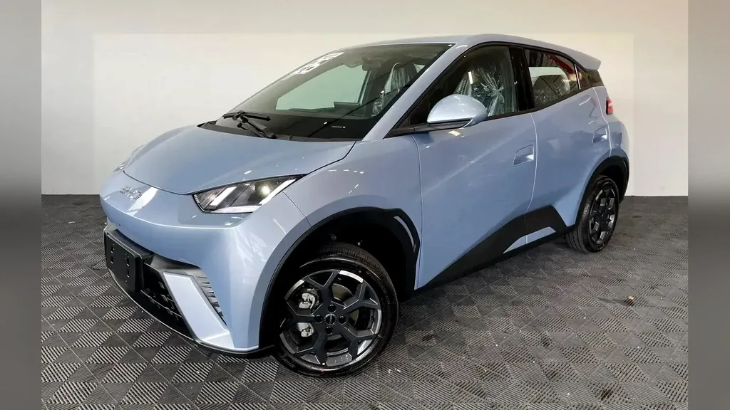 Foto de um byd dolphin mini