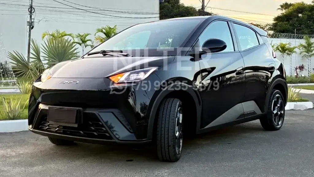 Foto de um byd dolphin mini