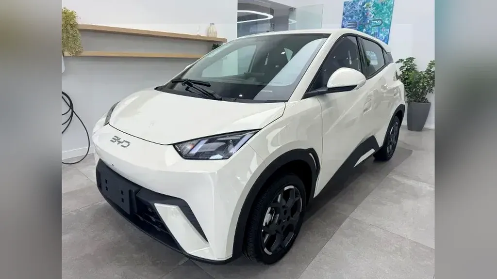 Foto de um byd dolphin mini