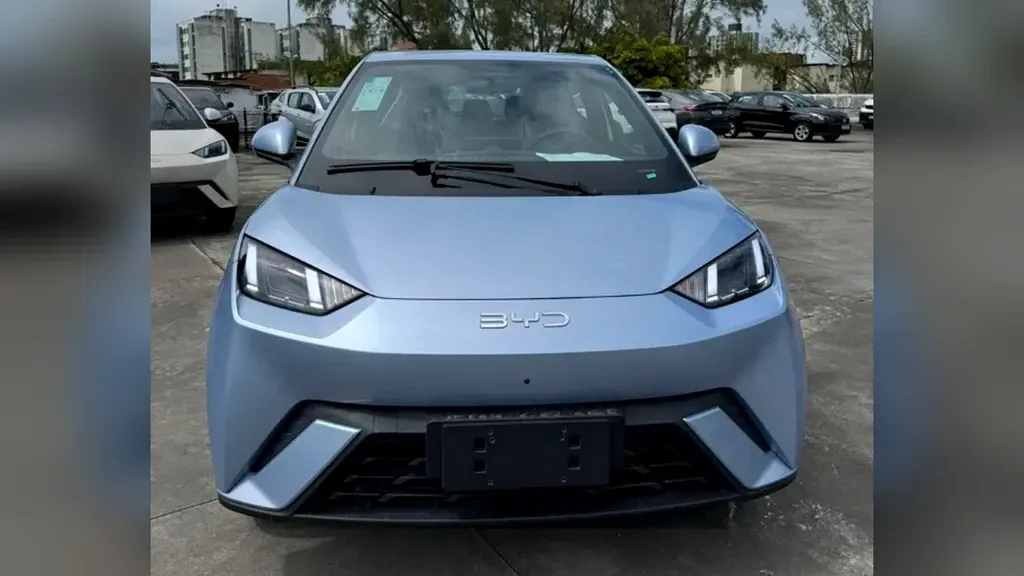 Foto de um byd dolphin mini