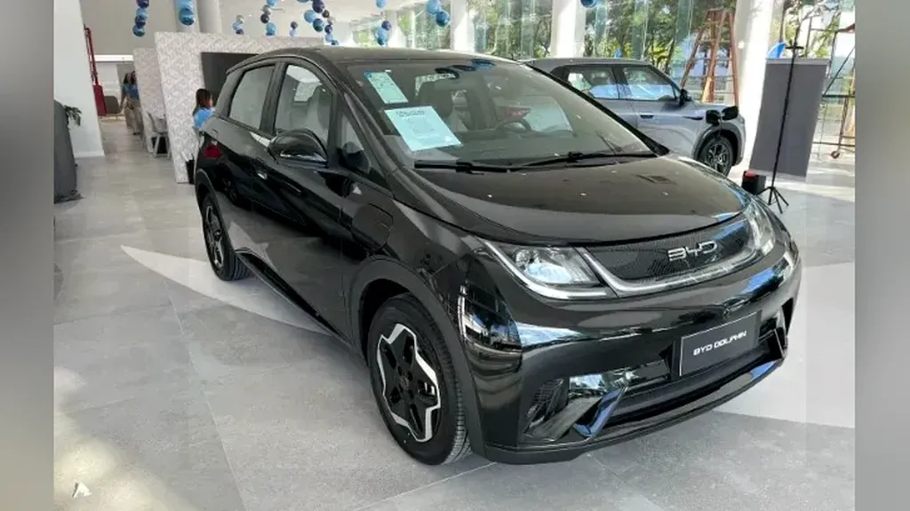 Foto de um byd dolphin