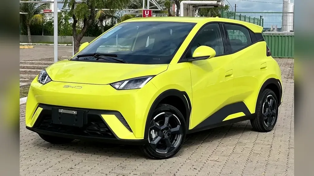 Foto de um byd dolphin