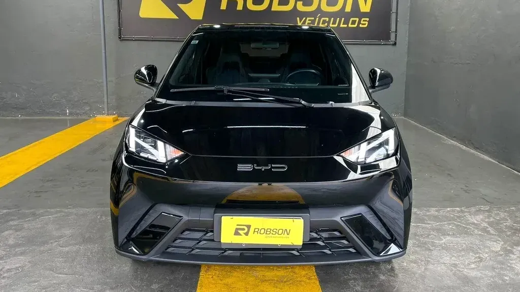 Foto de um byd dolphin