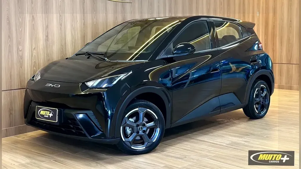 Foto de um byd dolphin mini