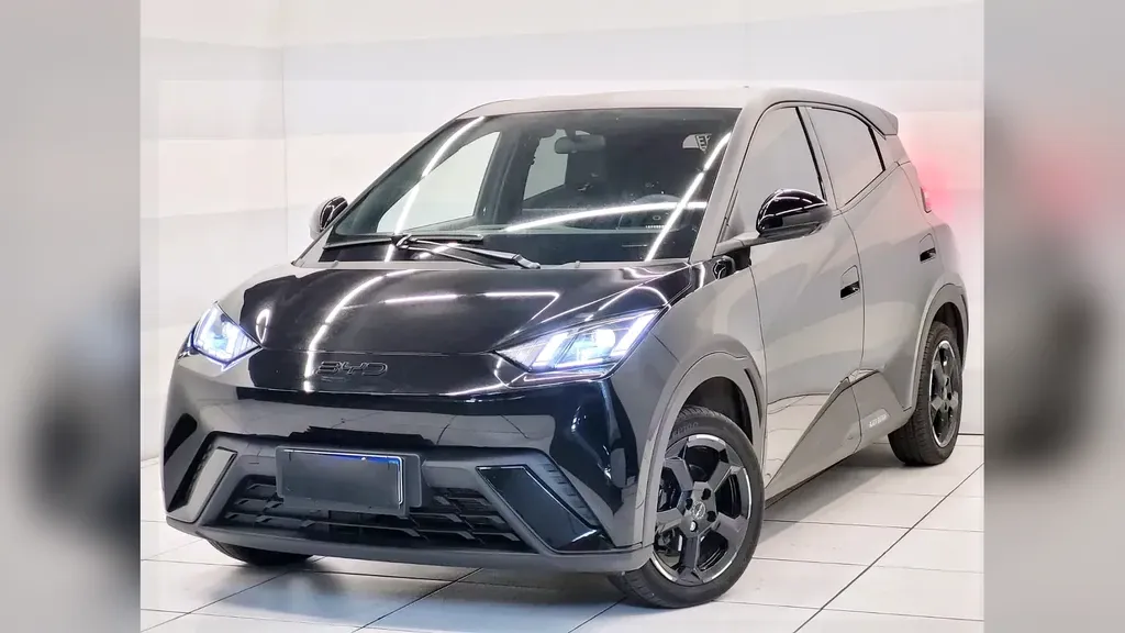 Foto de um byd dolphin mini