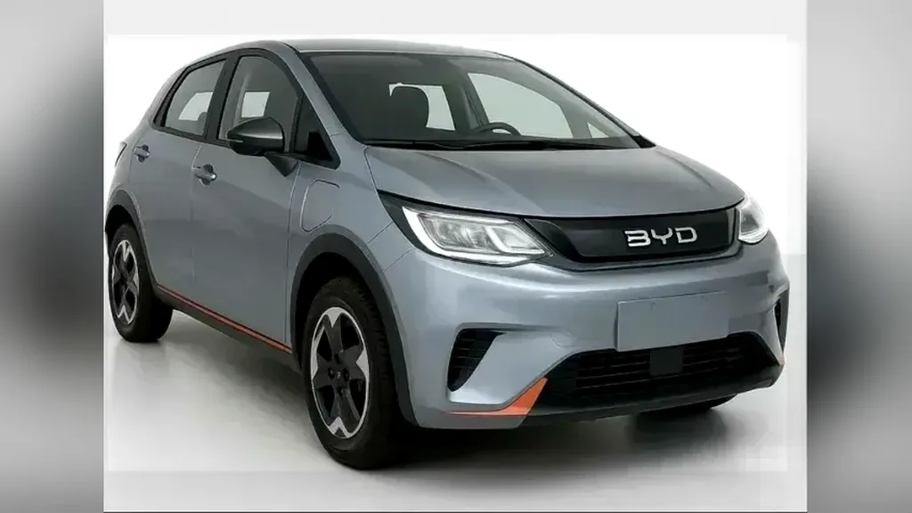 Foto de um byd dolphin