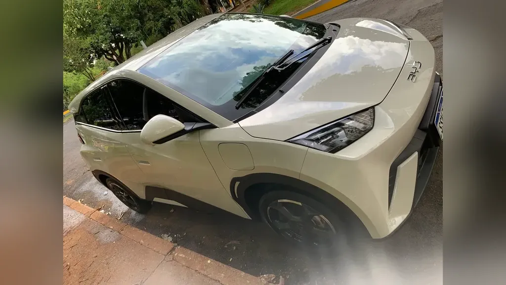 Foto de um byd dolphin mini