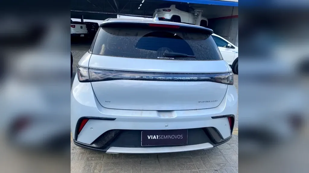 Foto de um byd dolphin plus