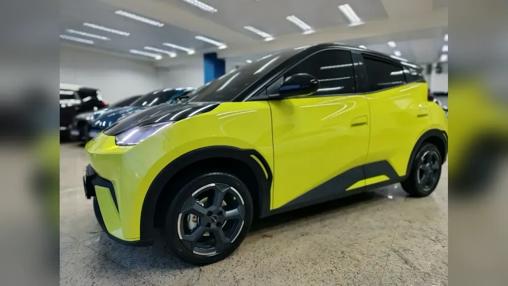 Foto de um byd dolphin